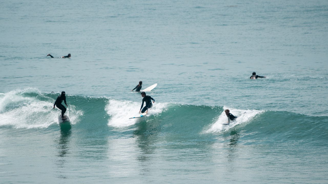 Patrio.ai — photo 2